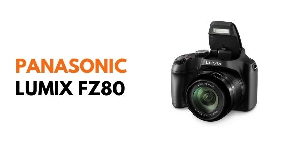 Panasonic Lumix FZ80 affordable camera for wedding photography