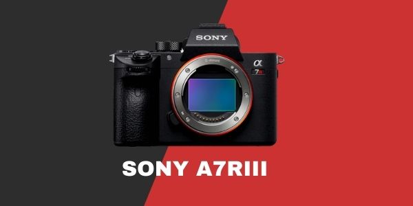 Best wedding photography camera -Sony A7R III