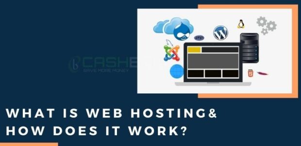 what is web hosting & how does it work