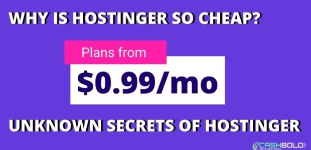 why is hostinger web hosting so cheap?
