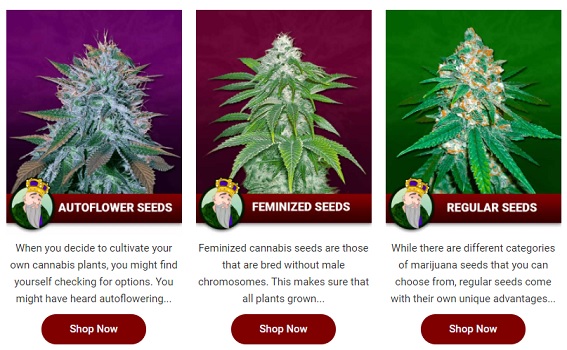 Select your seeds