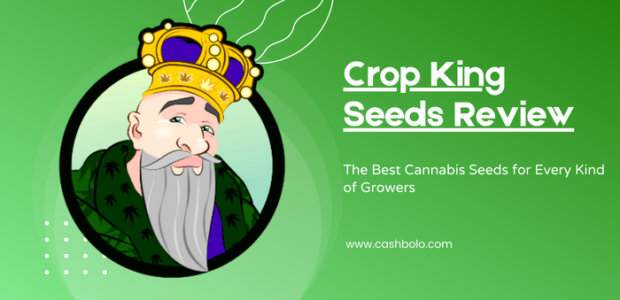 Crop King Seeds Review