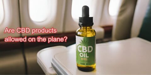Can You Take CBD on a Plane