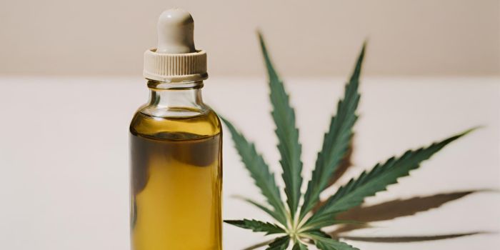 What is Hemp Oil Good For